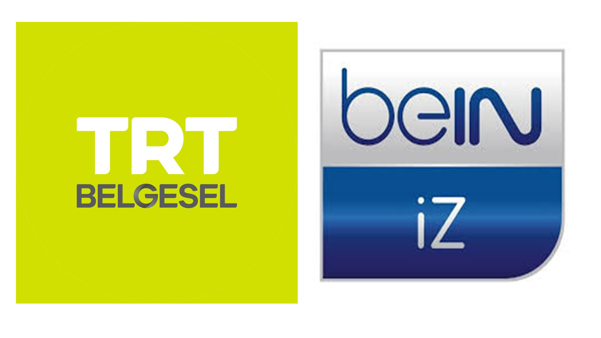 Türk Televizyon Belgeselciliğinde Kamusal Ve Tecimsel Kanal Ayrımı: TRT Belgesel Ve BEIN İz Tv Örneği